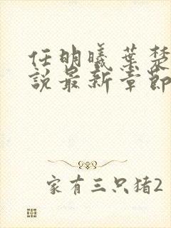 任明曦叶楚木小说最新章节阅读地址