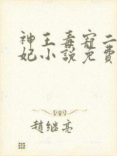 神王毒宠二嫁王妃小说免费阅读封面