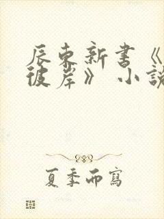 辰东新书《深空彼岸》 小说封面