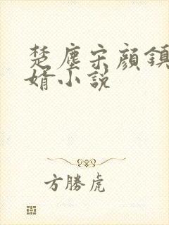 楚尘宋颜镇国神婿小说