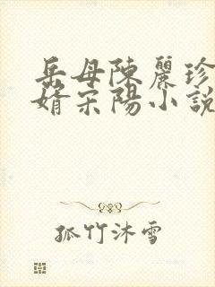 岳母陈丽珍和女婿宋阳小说缘分似梦