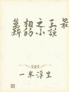 万相之王最快更新的小说