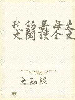 我的岳母大人全文阅读全文小说