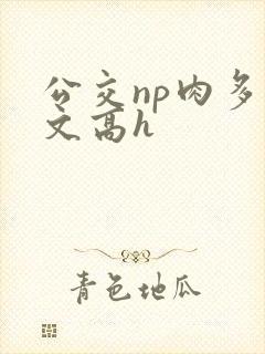 公交np肉多荤文高h封面