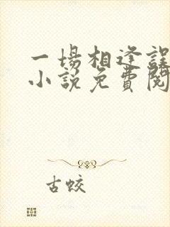 一场相逢误终身小说免费阅读