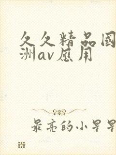 久久精品国产亚洲av应用