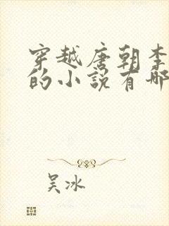 穿越唐朝李承乾的小说有哪些