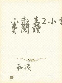 小欢喜2小说免费阅读封面