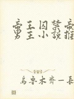 帝王囚禁帝师双男主小说推荐