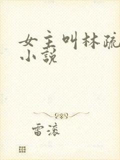 女主叫林疏月的小说封面