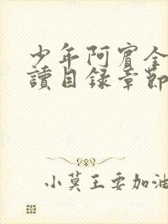 少年阿宾全文阅读目录章节小说