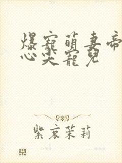 爆宠萌妻帝少的心尖宠儿封面