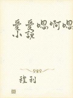 爱爱嗯啊嗯啊黄小说