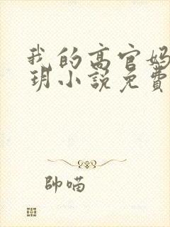 我的高官妈妈苏玥小说免费阅读最新