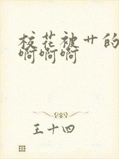 校花被艹的啊啊啊啊啊封面