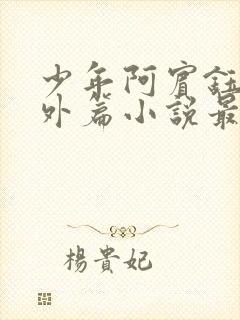 少年阿宾钰慧番外篇小说最新章节列封面