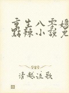 重生八零媳妇有点辣小说免费阅读