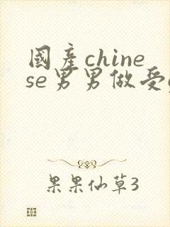 国产chinese男男做受gay网站