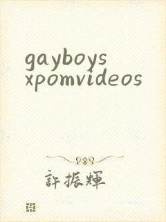 gayboysxpomvideos