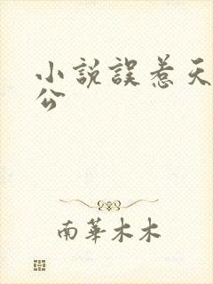 小说误惹天价老公