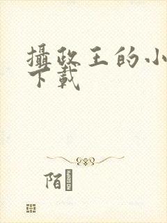 摄政王的小闲妻下载