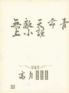 无敌天命青鸾峰上小说
