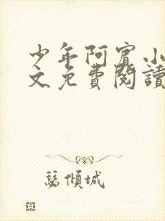 少年阿宾小说全文免费阅读目录