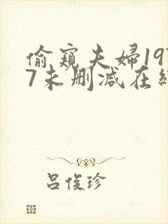 偷窥夫妇1977未删减在线观看封面