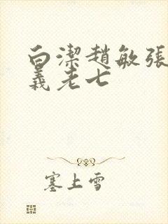 白洁赵敏张倩高义老七