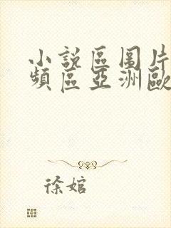 小说区图片区视频区亚洲欧美封面