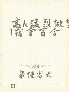 高h猛烈做哭gl宿舍百合封面