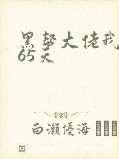 黑帮大佬我的365天封面