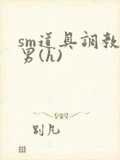 sm道具调教男男(h)