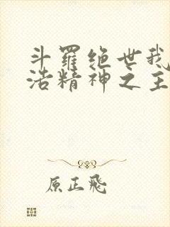 斗罗绝世我霍雨浩精神之主笔趣阁