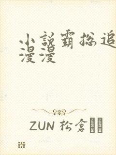 小说霸总追妻路漫漫