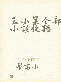 王小呆全部有声小说收听