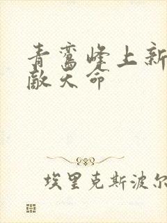 青鸾峰上新书无敌天命