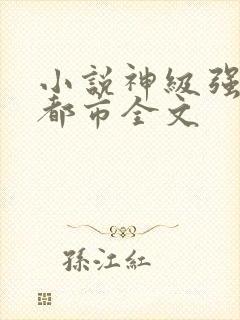 小说神级强者在都市全文封面