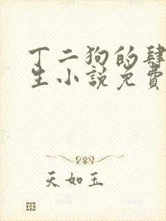丁二狗的肆意人生小说免费 笔趣阁