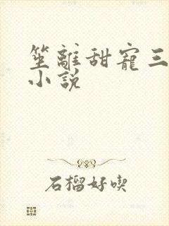 笙离甜宠三部曲小说