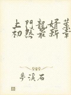 上门龙婿叶辰萧初然最新章节全文免费阅读封面