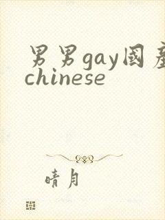 男男gay国产chinese封面