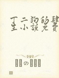 丁二狗的肆意人生小说免费 笔趣阁