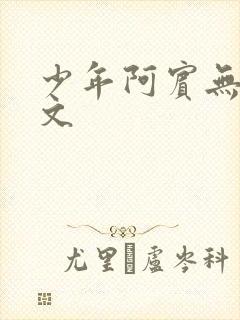 少年阿宾无删全文