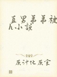 直男弟弟被哥哥h小说