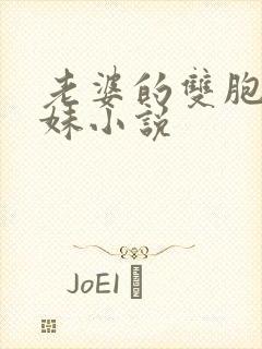 老婆的双胞胎妹妹小说