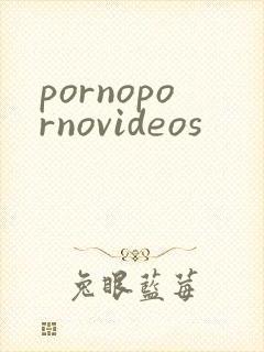 pornopornovideos
