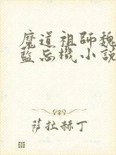 魔道祖师魏无羡蓝忘机小说阅读版