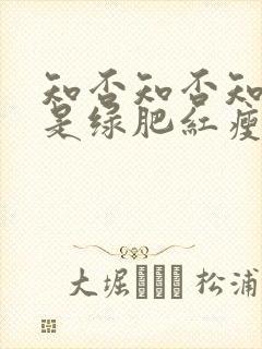 知否知否知否应是绿肥红瘦有多少集