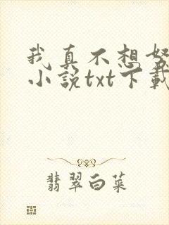 我真不想努力了小说txt下载
